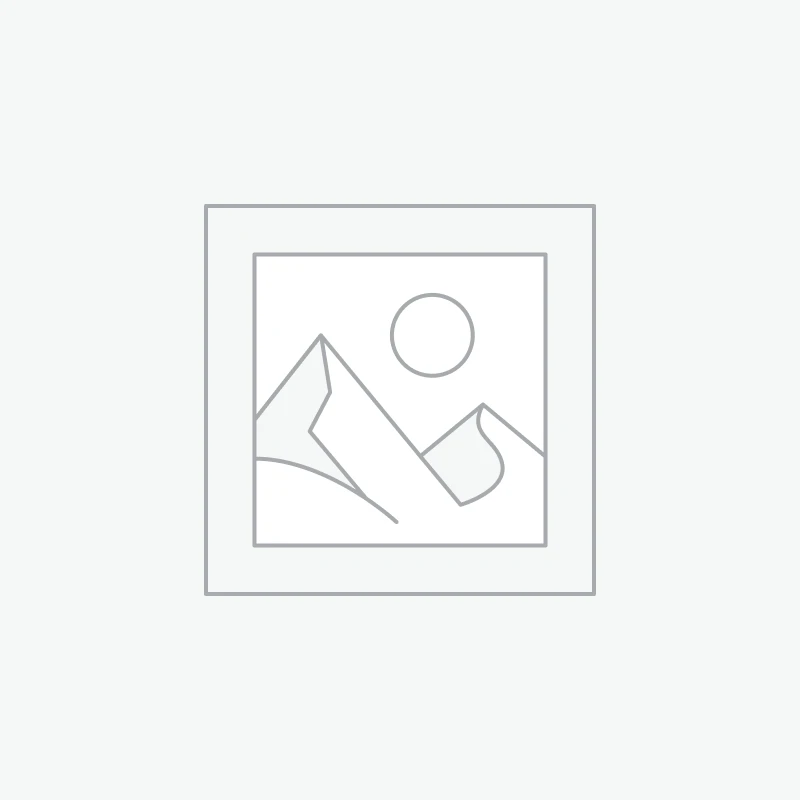 Lot de 30 Agrafeuses + Agrafes