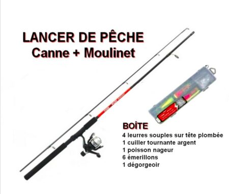 Canne à pêche + moulinet + Coffret de Pêche