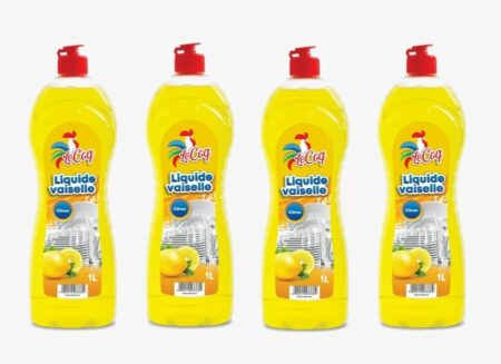 Lot de 4 Bouteilles de Liquide Vaisselle - 1 LITRES
