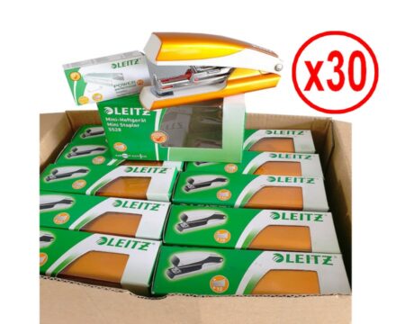 Lot de 30 Agrafeuses + Agrafes