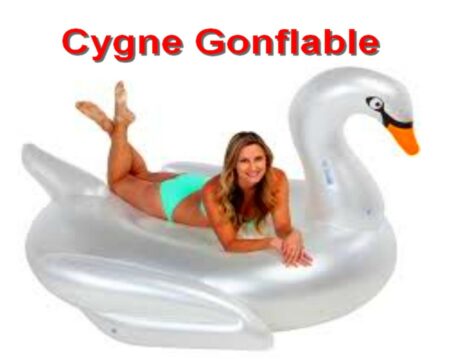 Bouée Cygne Argenté Grande Taille Gonflable - ( Article Neuf )