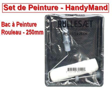 Set de Peinture - HandyMand - Bac à Peinture + Rouleau de 250mm