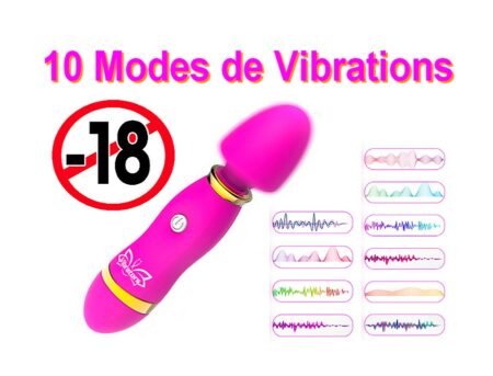 Vibromasseur point G pour femme, massage du vagin, Stimulateur clitoris, 10 Modes de Vibrations ( Article Neuf )