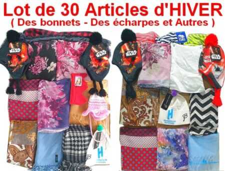 Lot de 30 Articles d’HIVER – Des bonnets – Des écharpes et Autres – Quelques Licences Disney Star Wars