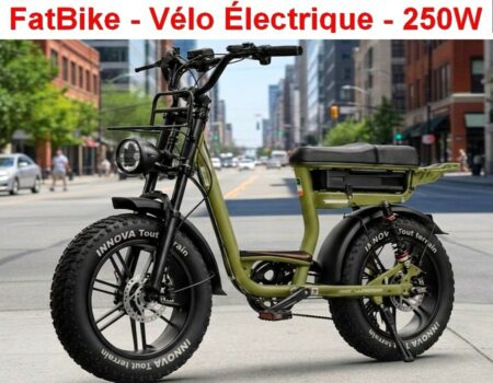 FatBike - vélo Électrique ( NEUF ) dans son Carton Cerclé - 250 W - Vitesse Max 25 Km/h - Autonomie 50 Km - Transmission 7 Vitesses - Freins à disque - Éclairage LED - Pneus Larges - Suspension Avant / Arrière - Roue 20 Pouces